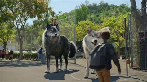 Wolf lodge commercial. Things To Know About Wolf lodge commercial. 